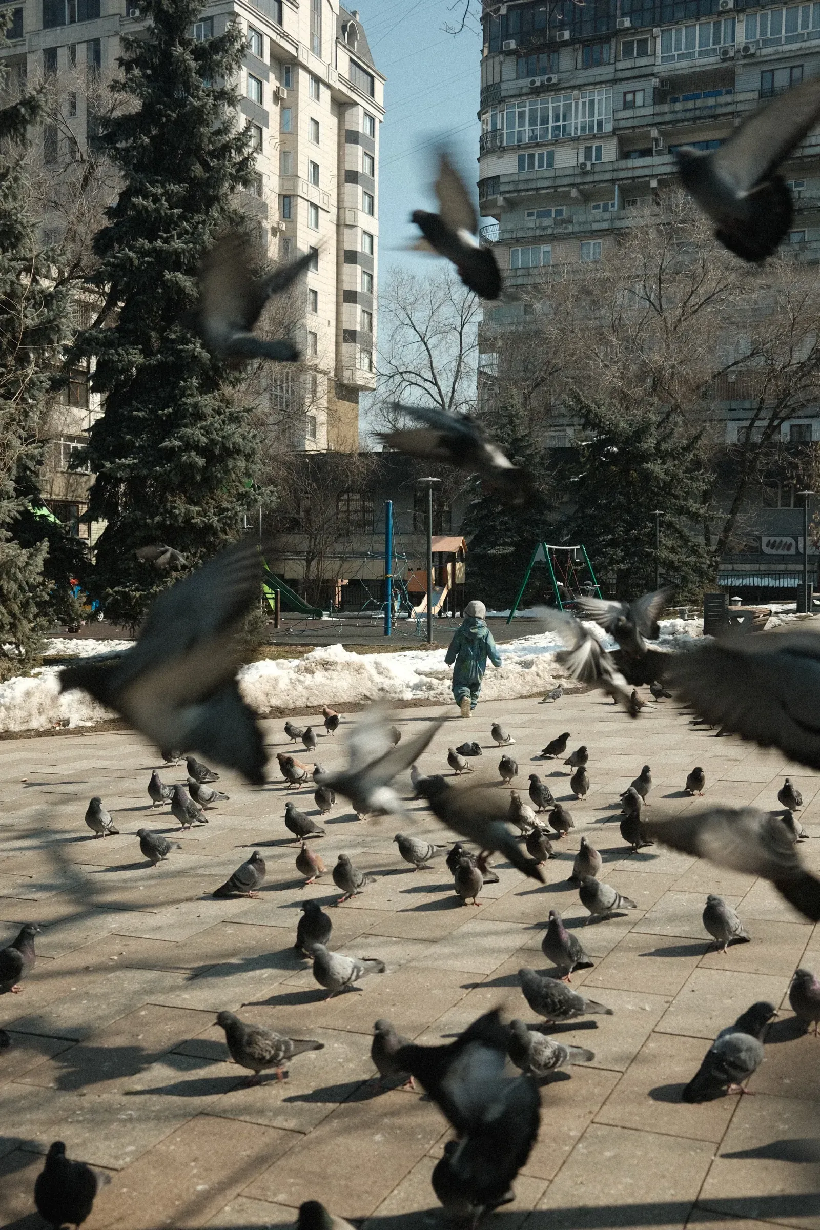 Super proud of this snap on the streets of Almaty