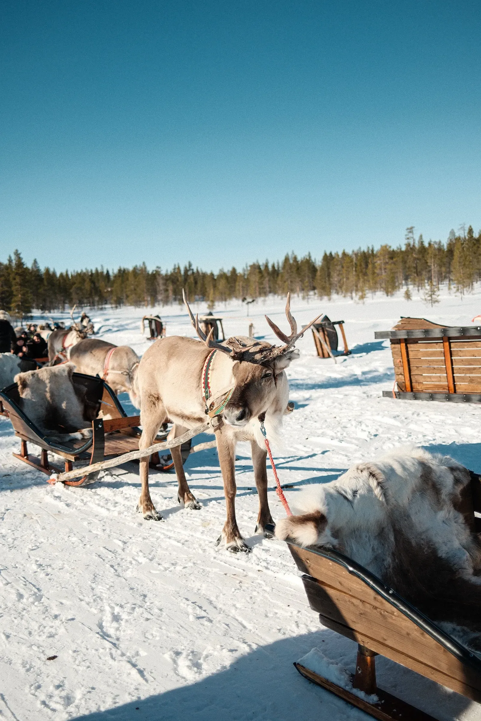 Photograph taken on MAR 23, 2025