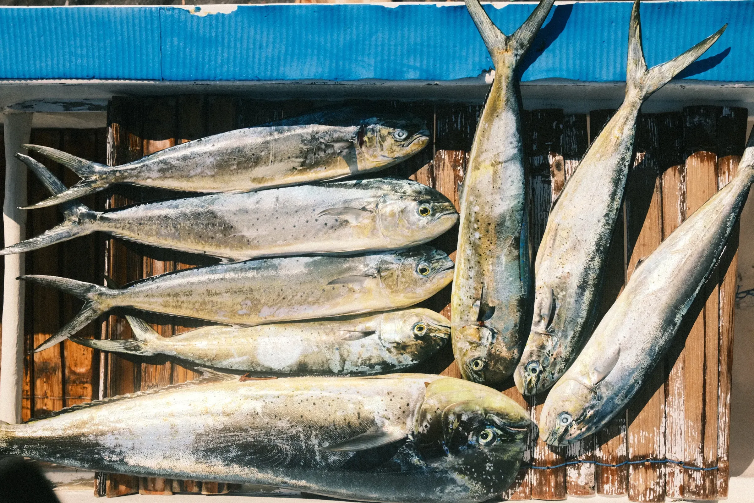 Photograph taken on SEP 03, 2024