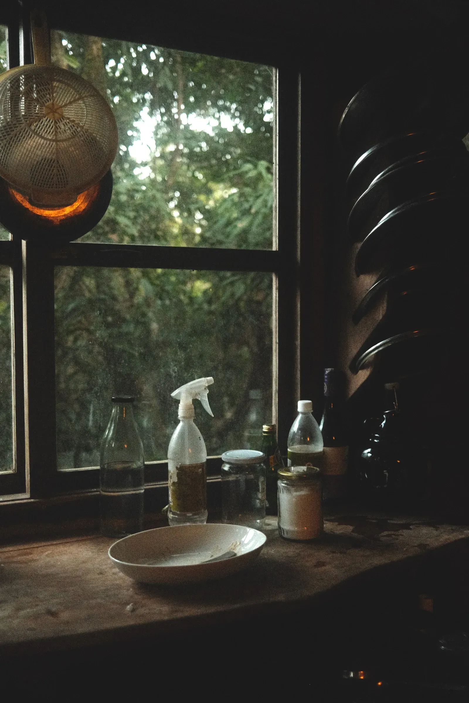 Photograph taken on DEC 30, 2024