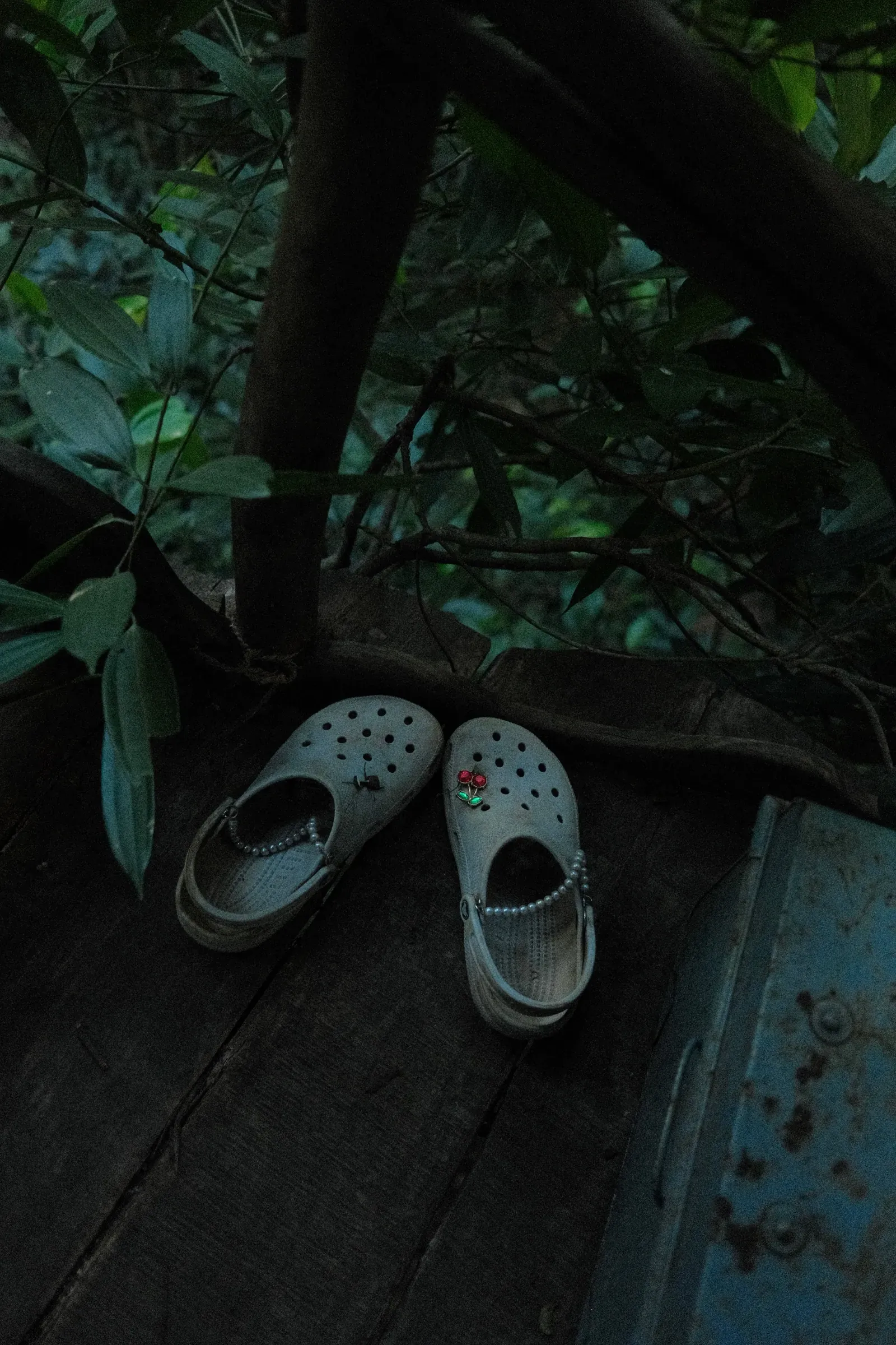 Photograph taken on JAN 01, 2025